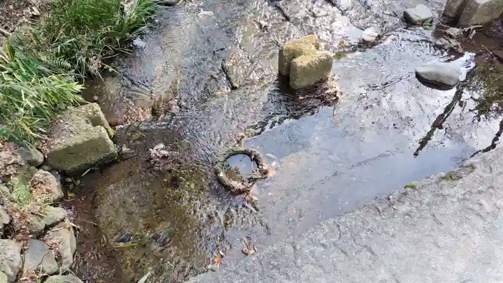 賀茂御祖神社(下鴨神社)(京都府)