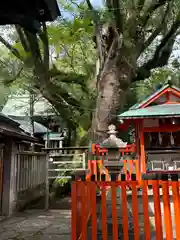 伊勢宮神社(長崎県)