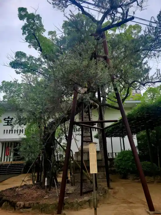 湊川神社の{uncategorized: "未分類", other: "その他", undefined: "問題あり", building: "その他建物", grave: "お墓", sacred_gate: "鳥居", guardian: "狛犬", statue: "像", buddha: "仏像", history: "歴史", nature: "自然", garden: "庭園", animal: "動物", pagoda: "塔", temizu: "手水舎", mountain_gate: "山門・神門", sanctuary: "本殿・本堂", subordinate: "末社・摂社", art: "芸術", scenery: "景色", jizo: "地蔵", ema: "絵馬", goshuin: "御朱印", omikuji: "おみくじ", items: "授与品その他", amulet: "お守り", goshuincho: "御朱印帳", eats: "食事", festival: "お祭り", votive_dance: "神楽", shichigosan: "七五三参", wedding: "結婚式", experience: "体験その他", initially: "初詣", around: "周辺", anti_infection: "感染症対策"}