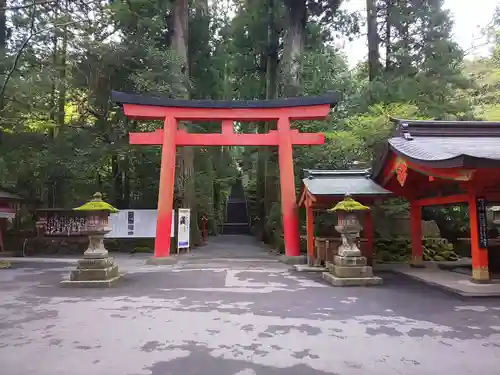 箱根神社の鳥居