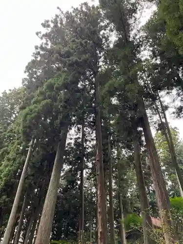 大宮温泉神社(栃木県)