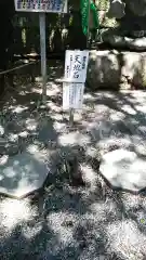 下野 星宮神社の建物その他