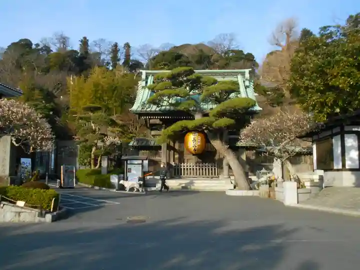 長谷寺の本殿・本堂