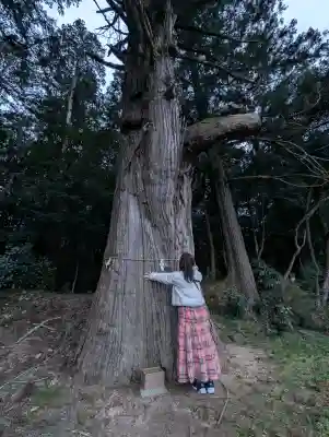 粟鹿神社の{uncategorized: "未分類", other: "その他", undefined: "問題あり", building: "その他建物", grave: "お墓", sacred_gate: "鳥居", guardian: "狛犬", statue: "像", buddha: "仏像", history: "歴史", nature: "自然", garden: "庭園", animal: "動物", pagoda: "塔", temizu: "手水舎", mountain_gate: "山門・神門", sanctuary: "本殿・本堂", subordinate: "末社・摂社", art: "芸術", scenery: "景色", jizo: "地蔵", ema: "絵馬", goshuin: "御朱印", omikuji: "おみくじ", items: "授与品その他", amulet: "お守り", goshuincho: "御朱印帳", eats: "食事", festival: "お祭り", votive_dance: "神楽", shichigosan: "七五三参", wedding: "結婚式", experience: "体験その他", initially: "初詣", around: "周辺", anti_infection: "感染症対策"}