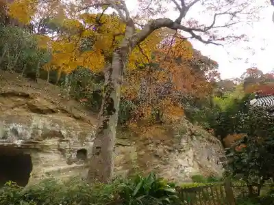 瑞泉寺のその他建物