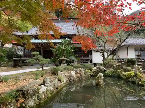 勝善寺の庭園