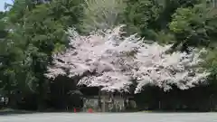 砥鹿神社（里宮）の自然