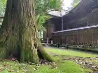 諏訪神社の本殿・本堂