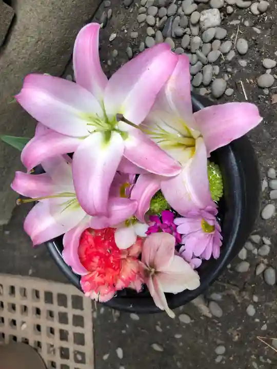 菅生神社の手水舎