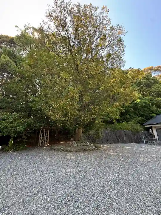 宇賀多神社の{uncategorized: "未分類", other: "その他", undefined: "問題あり", building: "その他建物", grave: "お墓", sacred_gate: "鳥居", guardian: "狛犬", statue: "像", buddha: "仏像", history: "歴史", nature: "自然", garden: "庭園", animal: "動物", pagoda: "塔", temizu: "手水舎", mountain_gate: "山門・神門", sanctuary: "本殿・本堂", subordinate: "末社・摂社", art: "芸術", scenery: "景色", jizo: "地蔵", ema: "絵馬", goshuin: "御朱印", omikuji: "おみくじ", items: "授与品その他", amulet: "お守り", goshuincho: "御朱印帳", eats: "食事", festival: "お祭り", votive_dance: "神楽", shichigosan: "七五三参", wedding: "結婚式", experience: "体験その他", initially: "初詣", around: "周辺", anti_infection: "感染症対策"}