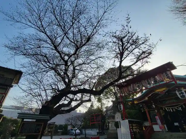 居木神社の自然