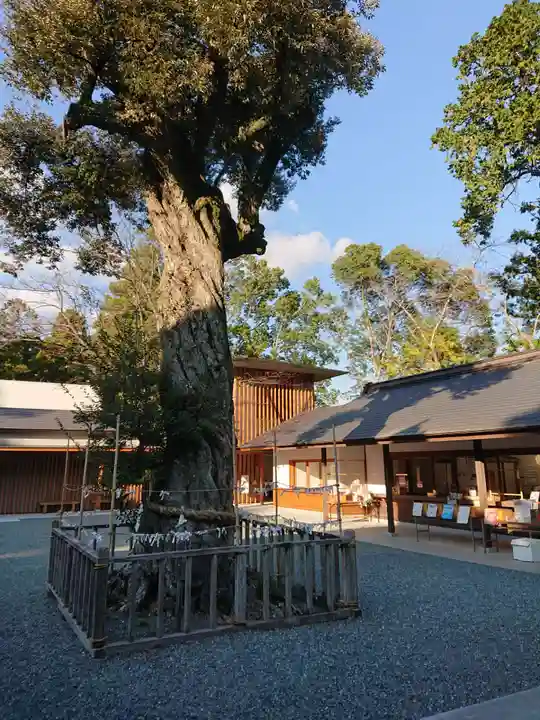 井伊谷宮のその他建物