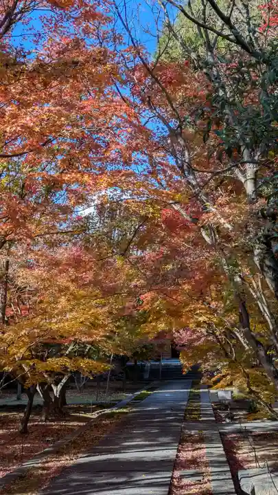 興聖寺(京都府)