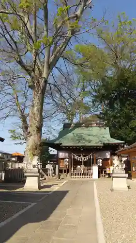 守谷総鎮守 八坂神社(茨城県)