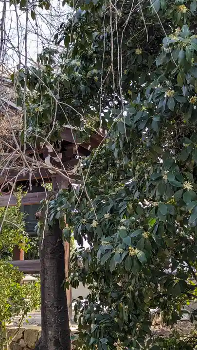 養源院(京都府)