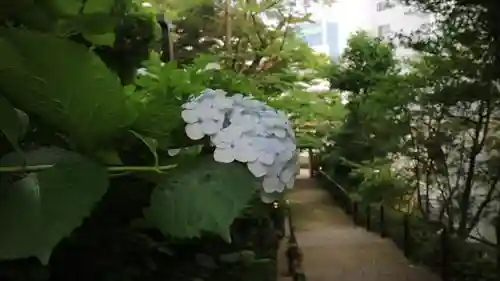 宇都宮二荒山神社の自然
