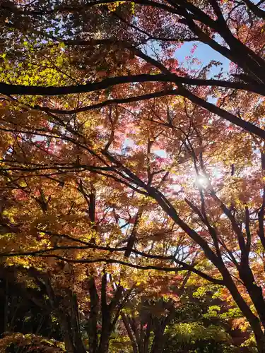 土津神社｜こどもと出世の神さま(福島県)