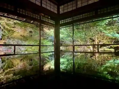 光明寺瑠璃光院(京都府)