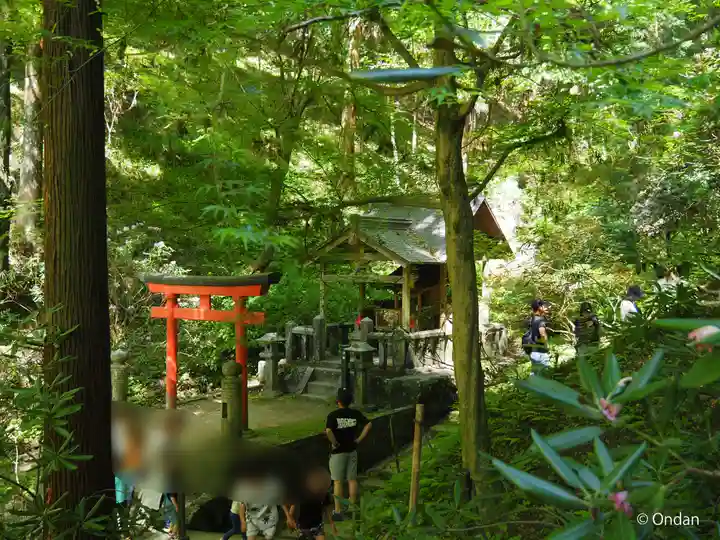 岡寺(龍蓋寺)(奈良県)