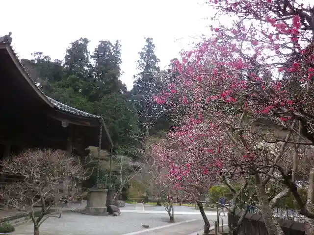 妙本寺の庭園
