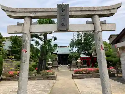 白山神社(東京都)