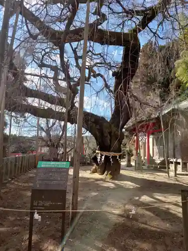 小川諏訪神社の庭園