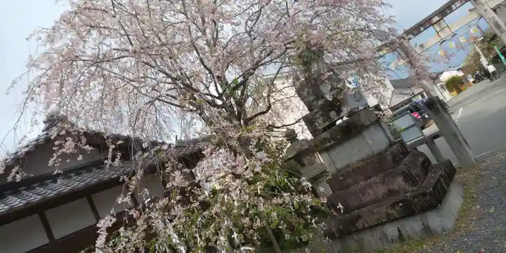 稗田野神社(薭田野神社)(京都府)