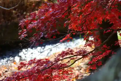 田村神社の自然