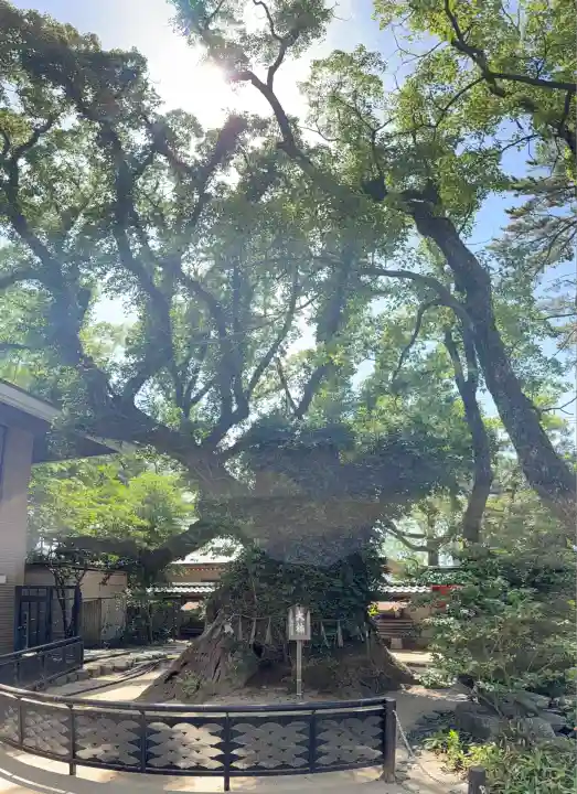 筥崎宮(福岡県)