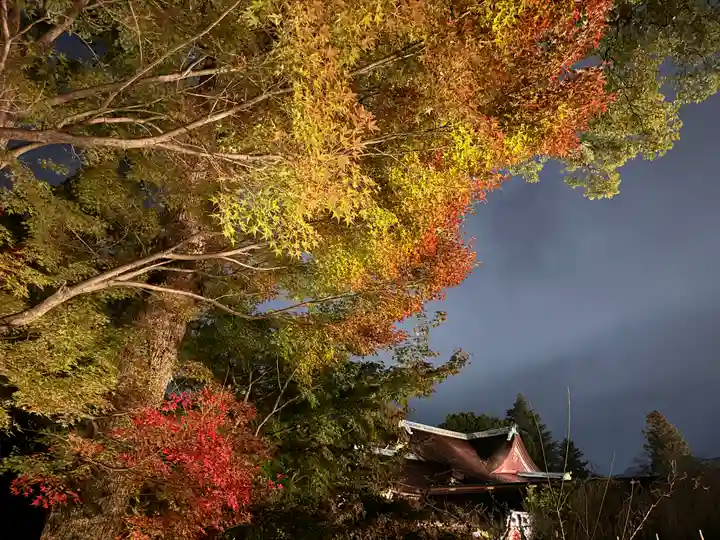 北野天満宮(京都府)
