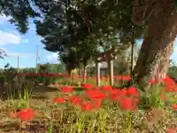 天神社(千葉県)