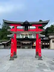 箭弓稲荷神社の鳥居