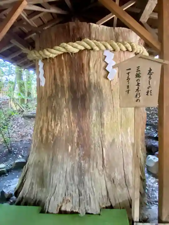 大神神社(奈良県)