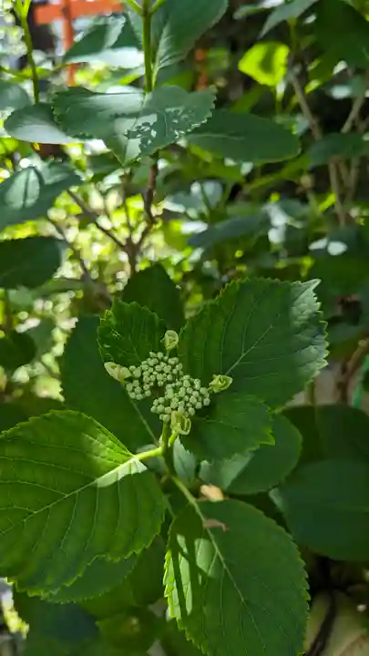 宝蔵寺(京都府)
