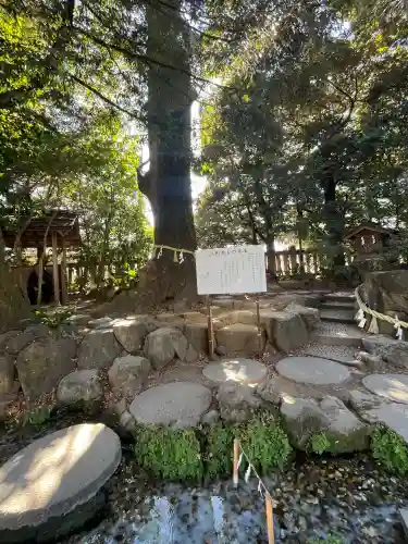 川越氷川神社の{uncategorized: "未分類", other: "その他", undefined: "問題あり", building: "その他建物", grave: "お墓", sacred_gate: "鳥居", guardian: "狛犬", statue: "像", buddha: "仏像", history: "歴史", nature: "自然", garden: "庭園", animal: "動物", pagoda: "塔", temizu: "手水舎", mountain_gate: "山門・神門", sanctuary: "本殿・本堂", subordinate: "末社・摂社", art: "芸術", scenery: "景色", jizo: "地蔵", ema: "絵馬", goshuin: "御朱印", omikuji: "おみくじ", items: "授与品その他", amulet: "お守り", goshuincho: "御朱印帳", eats: "食事", festival: "お祭り", votive_dance: "神楽", shichigosan: "七五三参", wedding: "結婚式", experience: "体験その他", initially: "初詣", around: "周辺", anti_infection: "感染症対策"}
