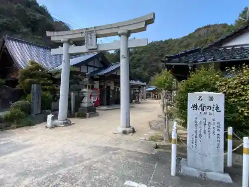 大頭神社の{uncategorized: "未分類", other: "その他", undefined: "問題あり", building: "その他建物", grave: "お墓", sacred_gate: "鳥居", guardian: "狛犬", statue: "像", buddha: "仏像", history: "歴史", nature: "自然", garden: "庭園", animal: "動物", pagoda: "塔", temizu: "手水舎", mountain_gate: "山門・神門", sanctuary: "本殿・本堂", subordinate: "末社・摂社", art: "芸術", scenery: "景色", jizo: "地蔵", ema: "絵馬", goshuin: "御朱印", omikuji: "おみくじ", items: "授与品その他", amulet: "お守り", goshuincho: "御朱印帳", eats: "食事", festival: "お祭り", votive_dance: "神楽", shichigosan: "七五三参", wedding: "結婚式", experience: "体験その他", initially: "初詣", around: "周辺", anti_infection: "感染症対策"}