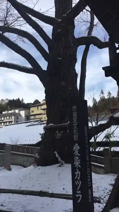 北向観音の自然