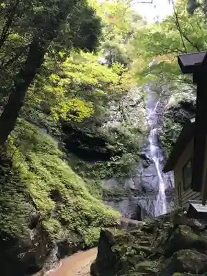 壇鏡神社の自然