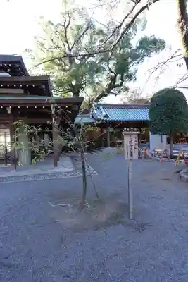 三嶋大社(静岡県)