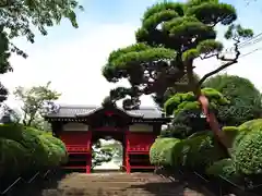 護国寺(東京都)