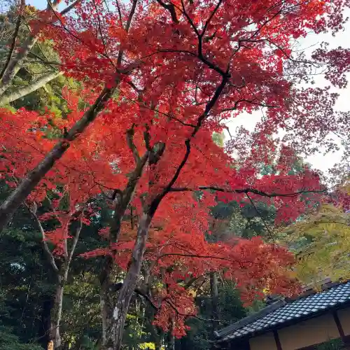 西明寺(滋賀県)