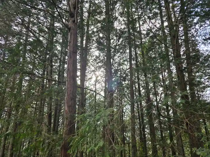 サムハラ神社 奥の宮(岡山県)