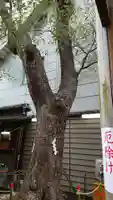 少彦名神社の自然
