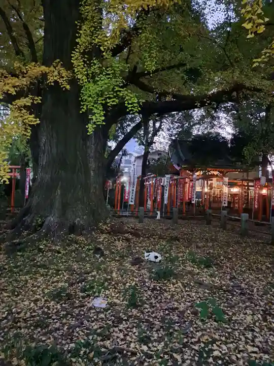 鬼子母神堂 (法明寺)(東京都)