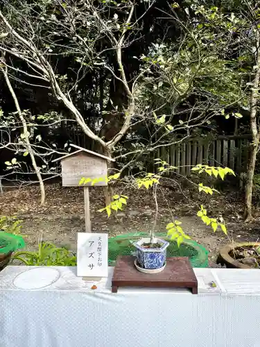 大宮八幡宮(東京都)