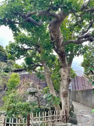 日蓮宗龍口山本龍寺の{uncategorized: "未分類", other: "その他", undefined: "問題あり", building: "その他建物", grave: "お墓", sacred_gate: "鳥居", guardian: "狛犬", statue: "像", buddha: "仏像", history: "歴史", nature: "自然", garden: "庭園", animal: "動物", pagoda: "塔", temizu: "手水舎", mountain_gate: "山門・神門", sanctuary: "本殿・本堂", subordinate: "末社・摂社", art: "芸術", scenery: "景色", jizo: "地蔵", ema: "絵馬", goshuin: "御朱印", omikuji: "おみくじ", items: "授与品その他", amulet: "お守り", goshuincho: "御朱印帳", eats: "食事", festival: "お祭り", votive_dance: "神楽", shichigosan: "七五三参", wedding: "結婚式", experience: "体験その他", initially: "初詣", around: "周辺", anti_infection: "感染症対策"}