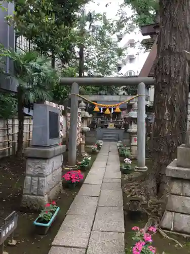 高円寺氷川神社の鳥居