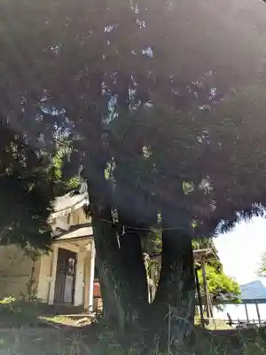 多度大社(三重県)