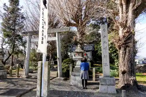 白山比咩神社の鳥居