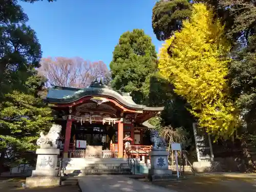 中野氷川神社の本殿・本堂